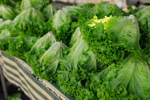 15 Conseils Ingénieux pour Cuisiner Économiquement en Tant qu'Étudiant